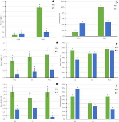 Artificial intelligence unveils key interactions between soil properties and climate factors on Boletus edulis and B. reticulatus mycelium in chestnut orchards of different ages